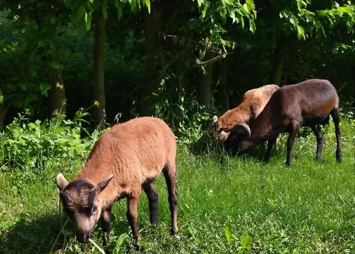 Kormoran 3* Vranov nad Dyjí